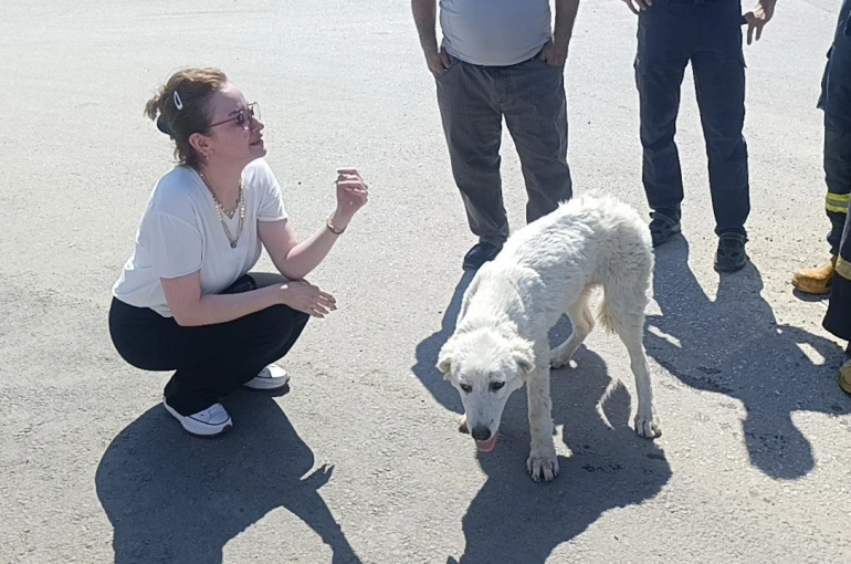 Mahsur kalan köpeğin sesini sadece o duydu, kurtarıldığında gözyaşlarına boğuldu