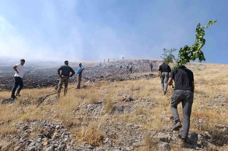 Malatya’da anız yangını