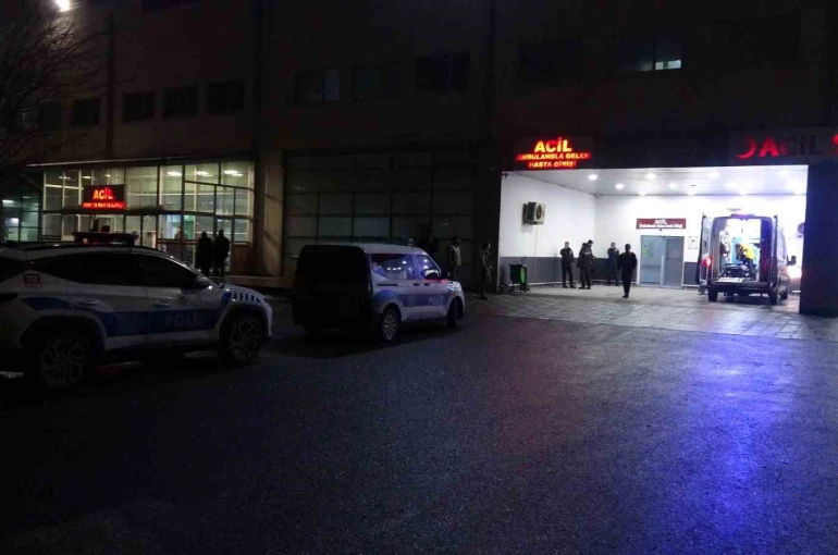 Malatya’da "dut ağacı" kavgasında 2 tutuklama