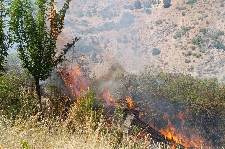 Malatya’da meyve bahçesi ve üzüm bağlarında yangın 