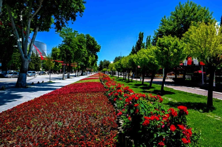 Malatya’da park ve kavşaklar çiçeklerle süslendi