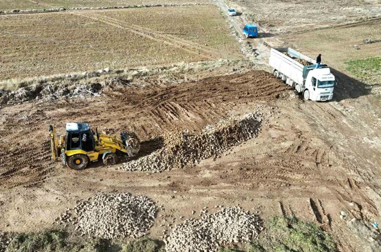 Malatya’da şeker pancarında yüksek verim çiftçinin yüzünü güldürdü