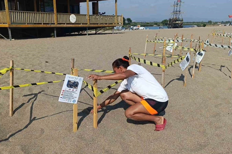 Manavgat’ta caretta caretta yavrularına koruma nöbeti