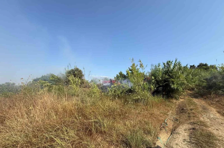 Manavgat’ta kamışlık alanda çıkan yangın söndürüldü
