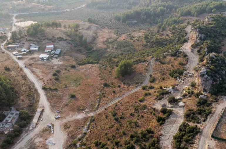 Manavgat’ta sokak hayvanlarına 75 dönümlük yaşam alanı 