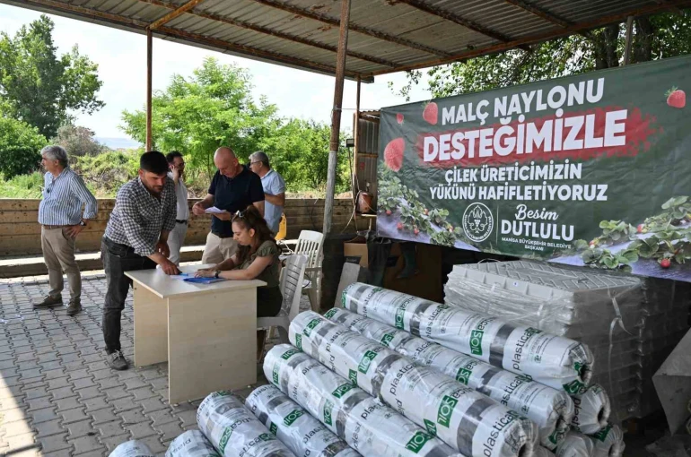 Manisa Büyükşehir’den çilek üreticilerine malç naylonu desteği