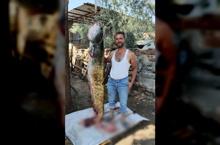 Manisa’da oltayla 2 metrelik yayın balığı yakaladı