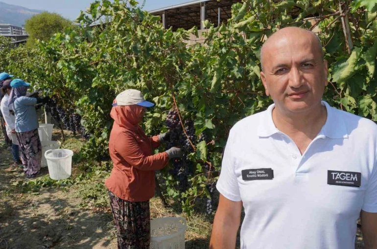 Manisa’dan dünyaya üzüm ihracatı başladı