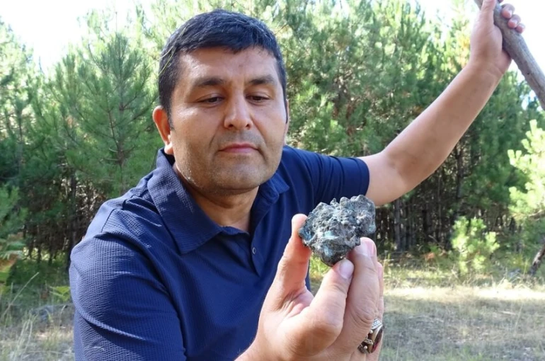 Mantar toplarken göktaşı buldu