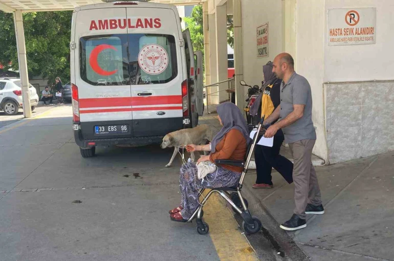 Mantar yiyen 7 kişi zehirlenme şüphesiyle hastaneye kaldırıldı