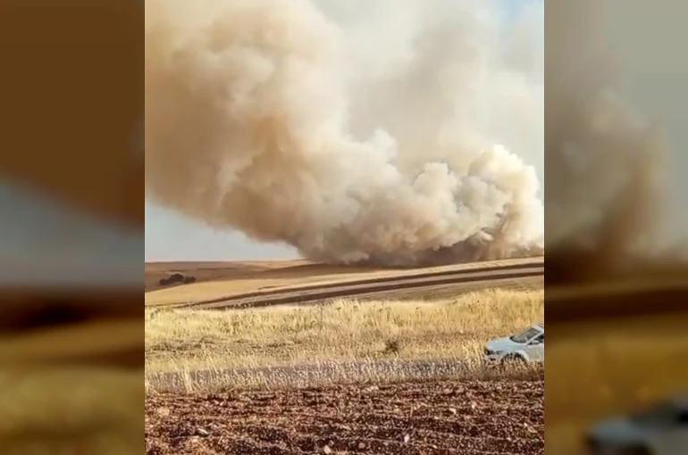 Mardin’de anız yangını