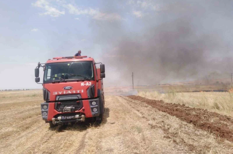Mardin’de anız yangını söndürüldü