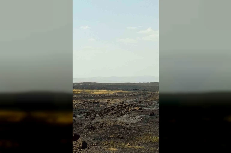 Mardin’de çıkan anız yangını söndürüldü
