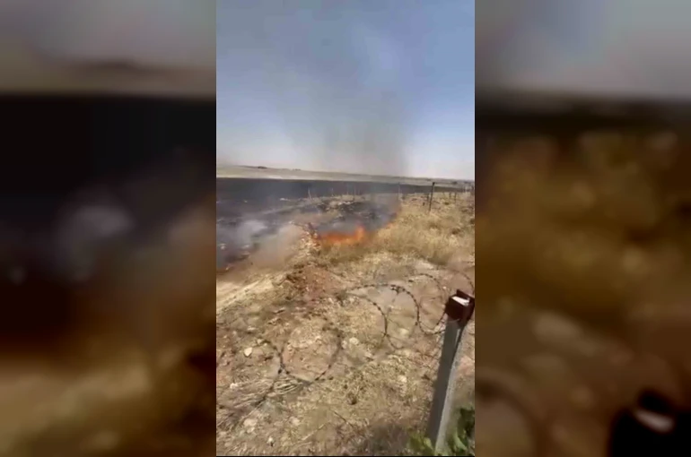 Mardin’de çıkan anız yangınına müdahale ediliyor