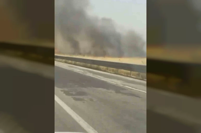 Mardin’de itfaiye aracının çarptığı itfaiye eri hayatını kaybetti