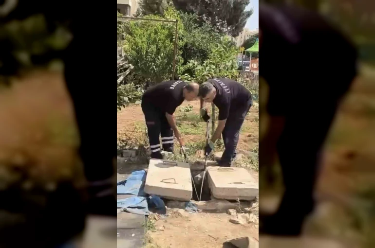 Mardin’de kuyuda görülen yılan doğaya bırakıldı