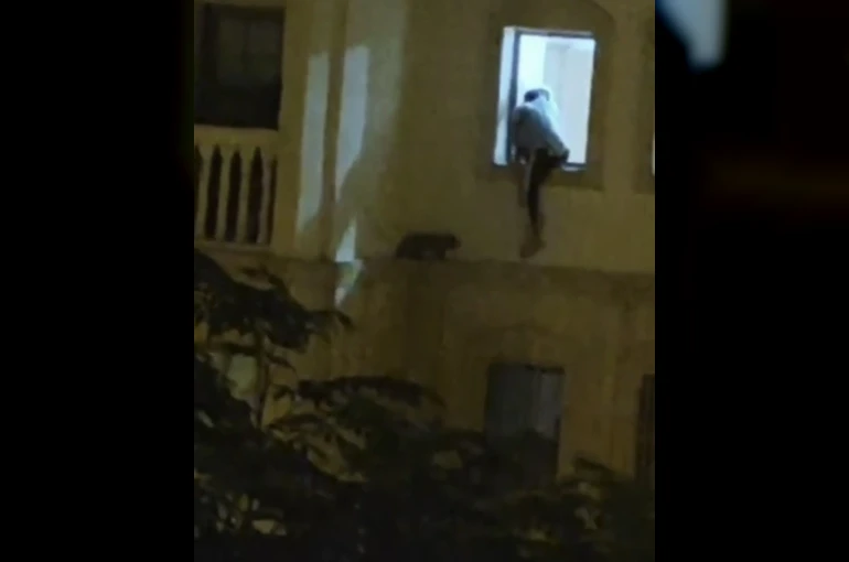 Mardin’de mahsur kalan kedi kurtarıldı