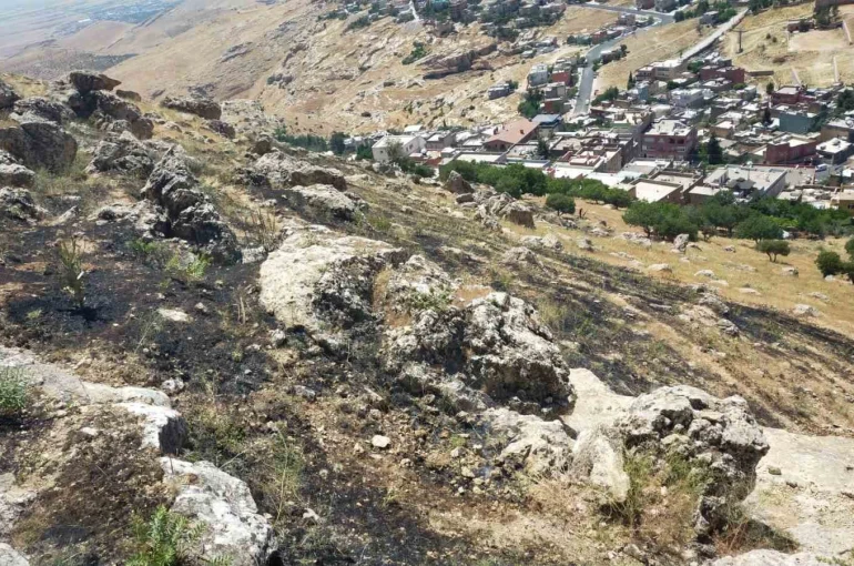Mardin’de ormanlık alanda çıkan yangın söndürüldü
