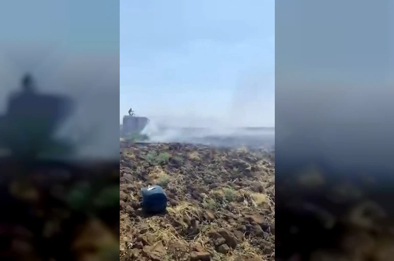 Mardin’deki anız yangını kontrol altına alındı