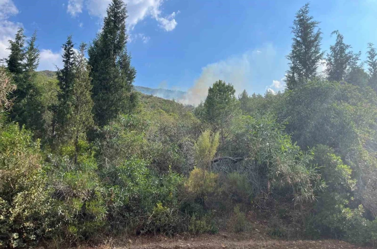 Marmaris’te yıldırım kaynaklı orman yangını 