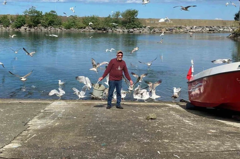 Martılarla kurduğu bağ görenleri şaşırtıyor
