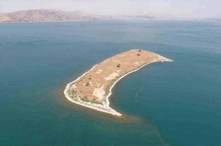 MASSAD, Tavşan Adası için projelerini sıraladı