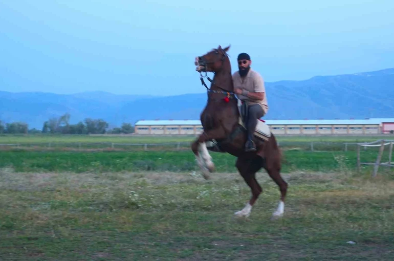 "Mehmet: Fetihler Sultanı" oyuncusu Mustafa Kaya, Muş’ta film atlarını hazırladı 