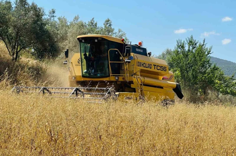 Menteşe’de biçerdöverlere sıkı denetim