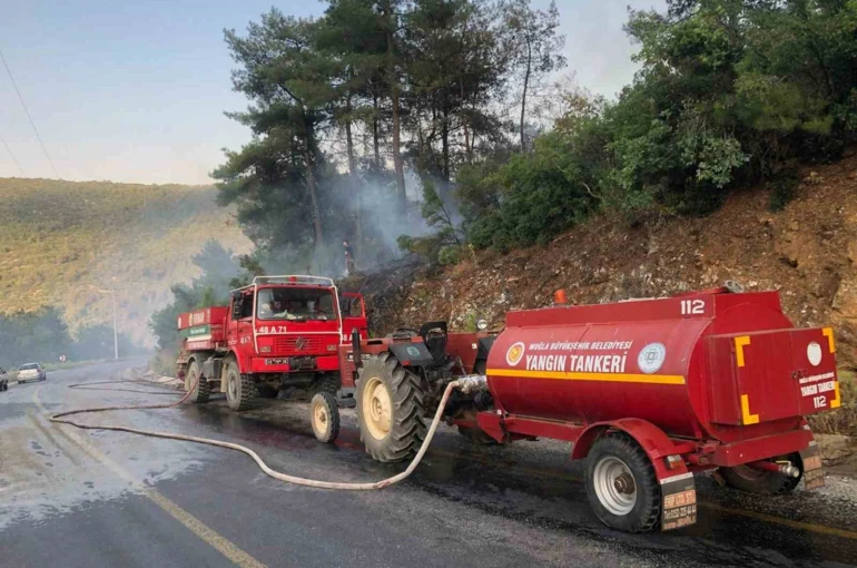 Menteşe’de orman yangını büyümeden söndürüldü 