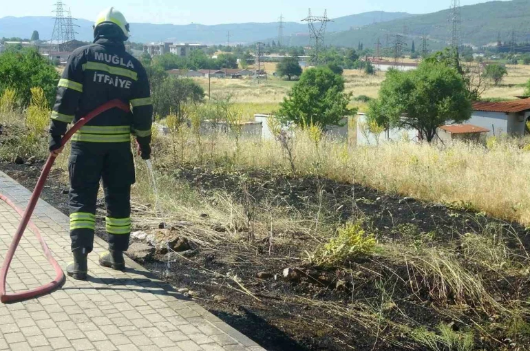 Menteşe’de yol kenarına atılan sigara izmariti yangın çıkardı