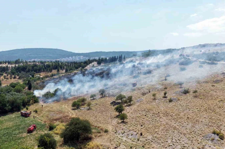 Menteşe’deki makilik yangını kontrol altına alındı