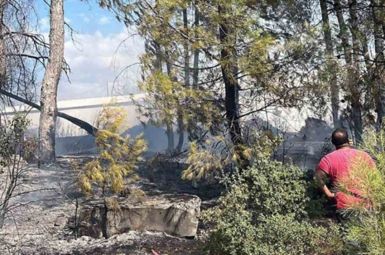 Menteşe’deki yangın kısa sürede söndürüldü
