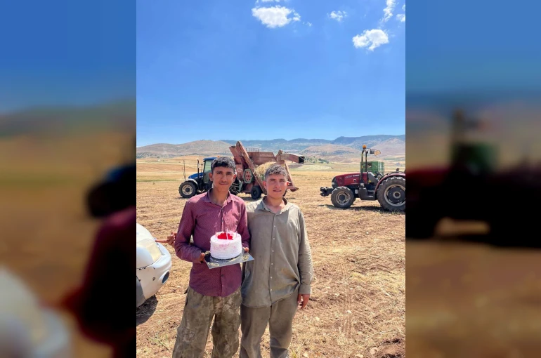 Mercimek tarlasında kavurucu sıcak altında doğum günü sürprizi