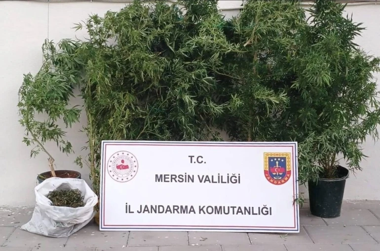 Mersin’de kenevir ekip uyuşturucu üreten şüpheli yakalandı
