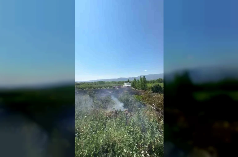 Mersin Mut’ta yangın: 15 dönüm bahçe zarar gördü