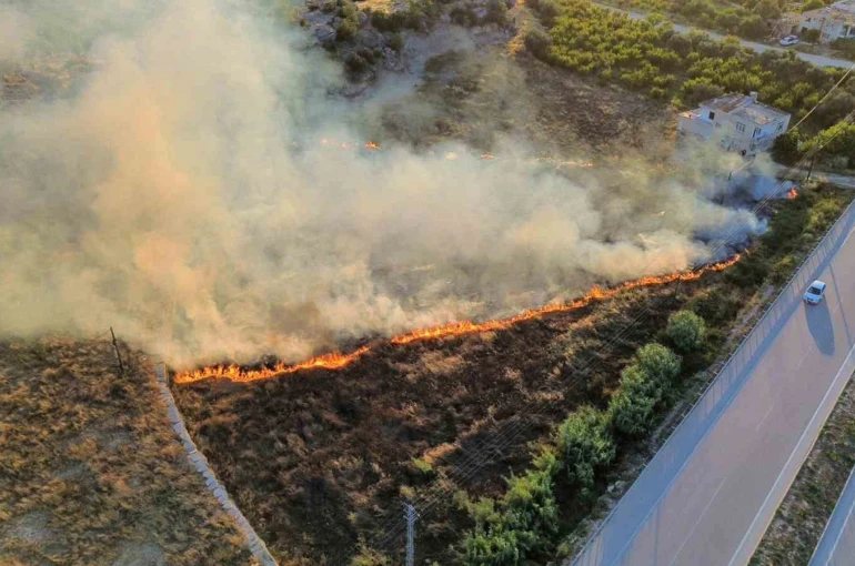 Mersin’de çıkan yangın evlere ve ormana ulaşmadan söndürüldü