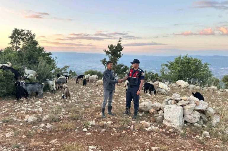 Mersin’de kayıp 40 küçükbaş dronla bulundu