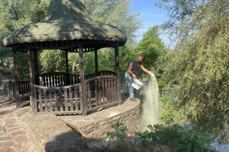 Mesire alanında haşere ve yılanlara karşı kükürt mesaisi