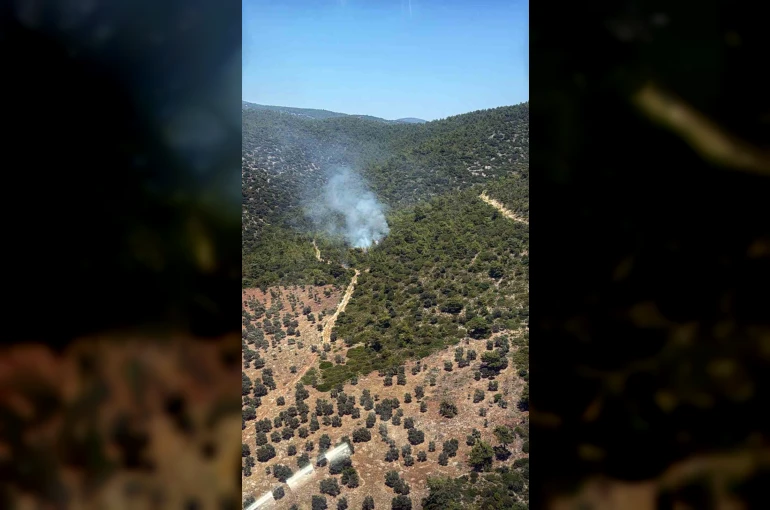 Milas Kazıklı Koyu’nda makilik alanda yangın çıktı