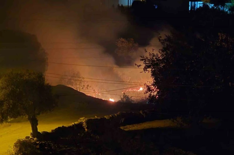 Milas’ta çıkan sazlık yangını hızlı müdahaleyle kontrol altına alındı