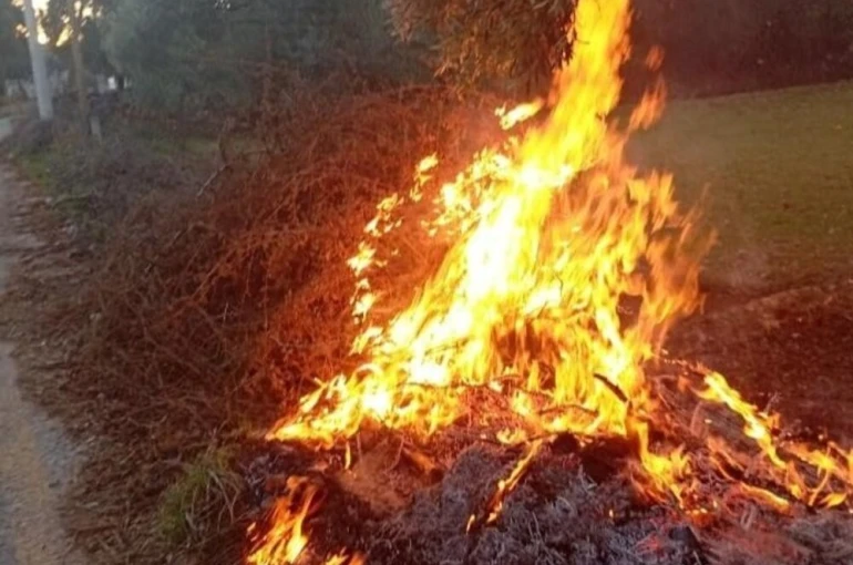 Milas’taki orman yangınları büyümeden söndürüldü
