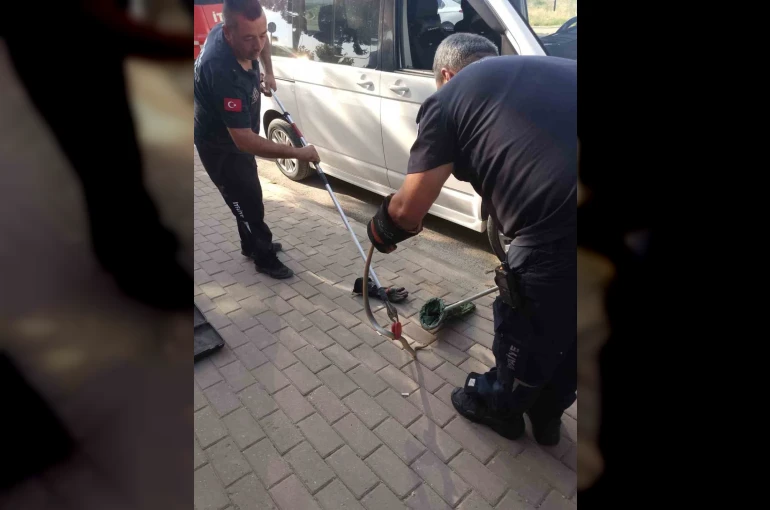 Minibüsün motoruna giren yılan itfaiye ekiplerini harekete geçirdi