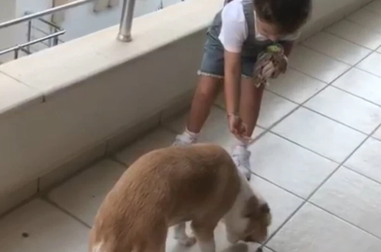 Minik Gökçe’den örnek davranış