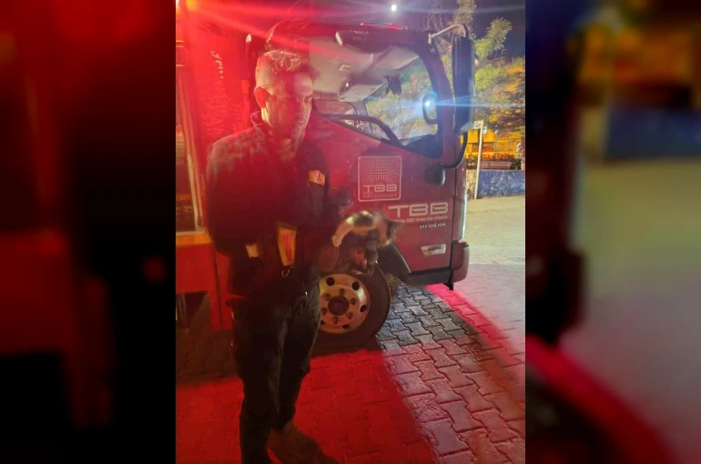 Motor kısmına sıkışan kedi için seferber oldular