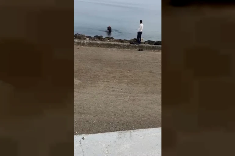 Mudanya sahilinde oltaya takılan martıyı vatandaş kurtardı