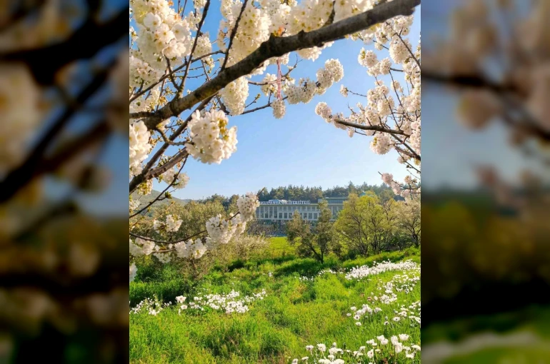 Mudanya Üniversitesi’ne 6 yeni bölüm daha