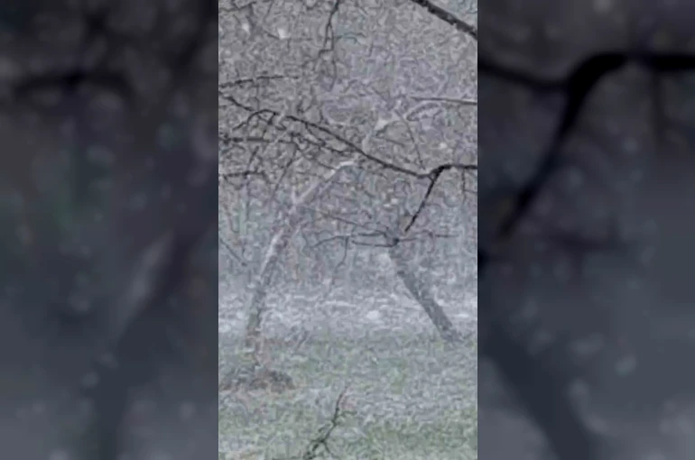 Mudurnu’da lapa lapa kar yağışı etkili oldu