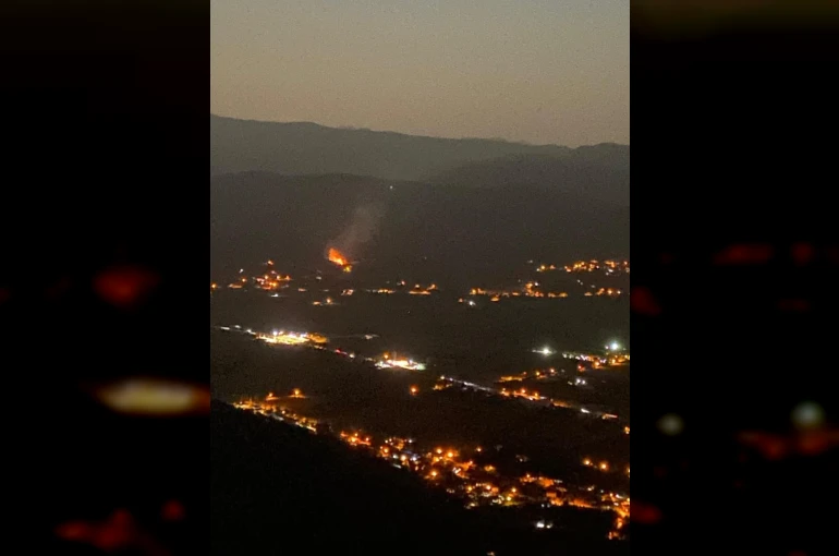 Muğla’da arazi yangını: Çok sayıda ekip sevk edildi