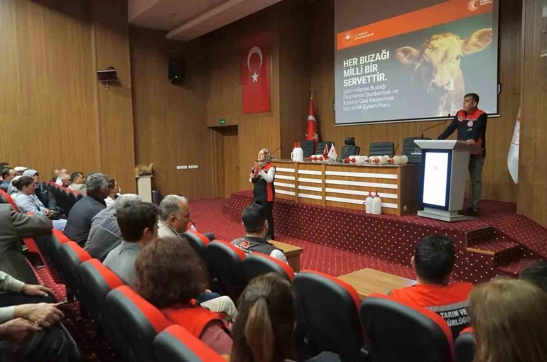 Muğla’da buzağı kayıplarını azaltmaya yönelik eğitimler başladı