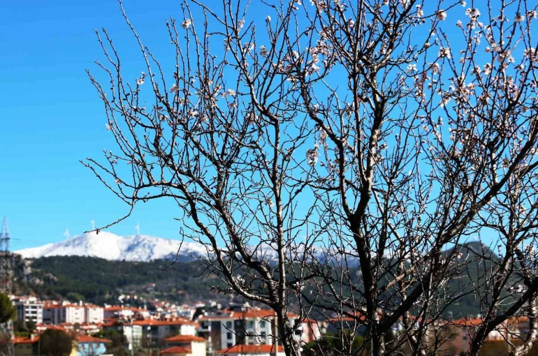 Muğla’da kış ve bahar aynı karede